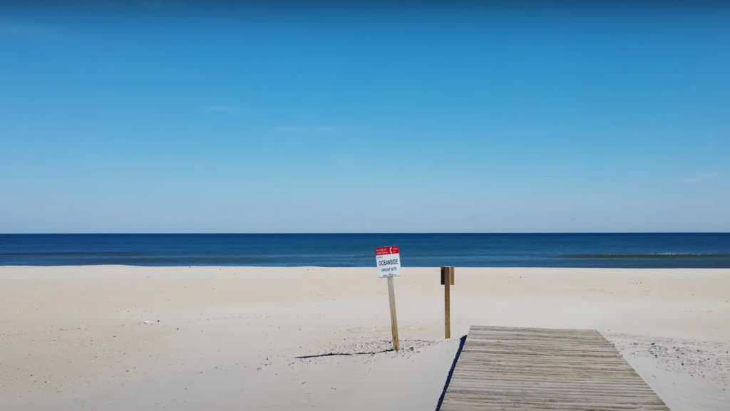 Assateague Island, Maryland/Virginia